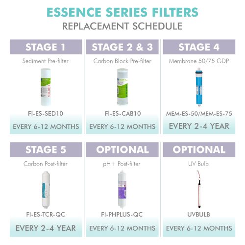 essence filter change schedule 02 9